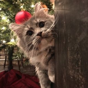 Meet your Posher, Tina